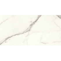 EXPANSE - 12X24 DYN, INTENSA SILVER, MATTE